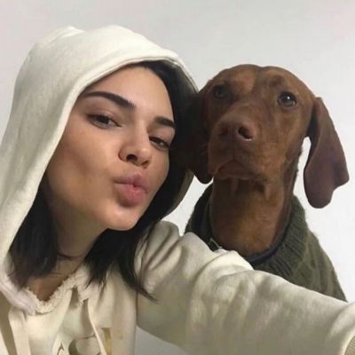 imszy